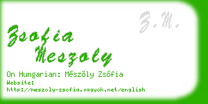 zsofia meszoly business card